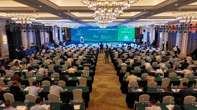 盐酸价格走势图解析：洞察市场波动与厂家选择