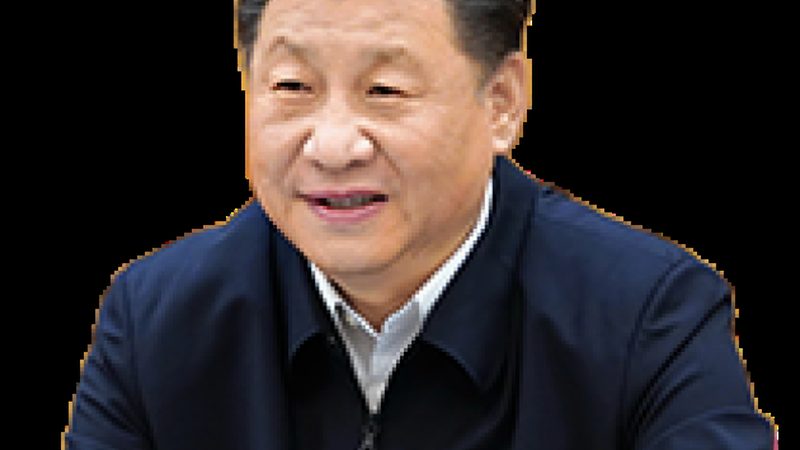 化工产品经销：揭秘十大品牌背后的行业逻辑