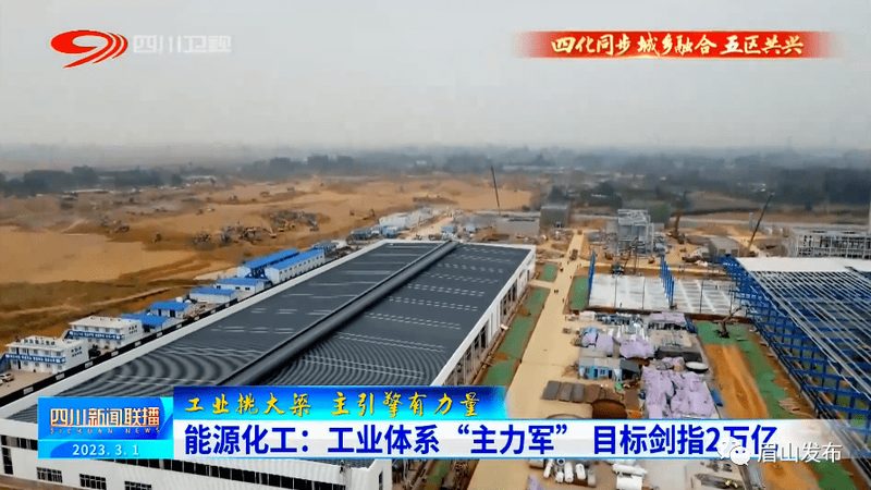 揭秘国内高分子材料十大品牌：背后的技术实力与市场影响力